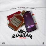 ARTWORK: Malie Donn, DJ MAC, CrashDummy - Nuh Regular Nuh Regular - Single
