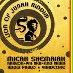 ARTWORK: Yaadcore, BiggaDread - Nyquill Lion of Judah Riddim - EP