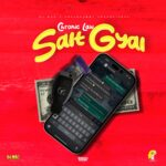 ARTWORK: Chronic Law, DJ MAC, CrashDummy - Salt Gyal Salt Gyal - Single