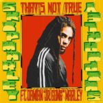 ARTWORK: Skip Marley, Damian Marley - That's Not True That's Not True (feat. Damian "Jr. Gong" Marley) - Single