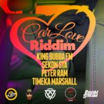 ARTWORK: Timeka Marshall, King Bubba Fm, A7 - Long Ride Car Love Riddim - EP